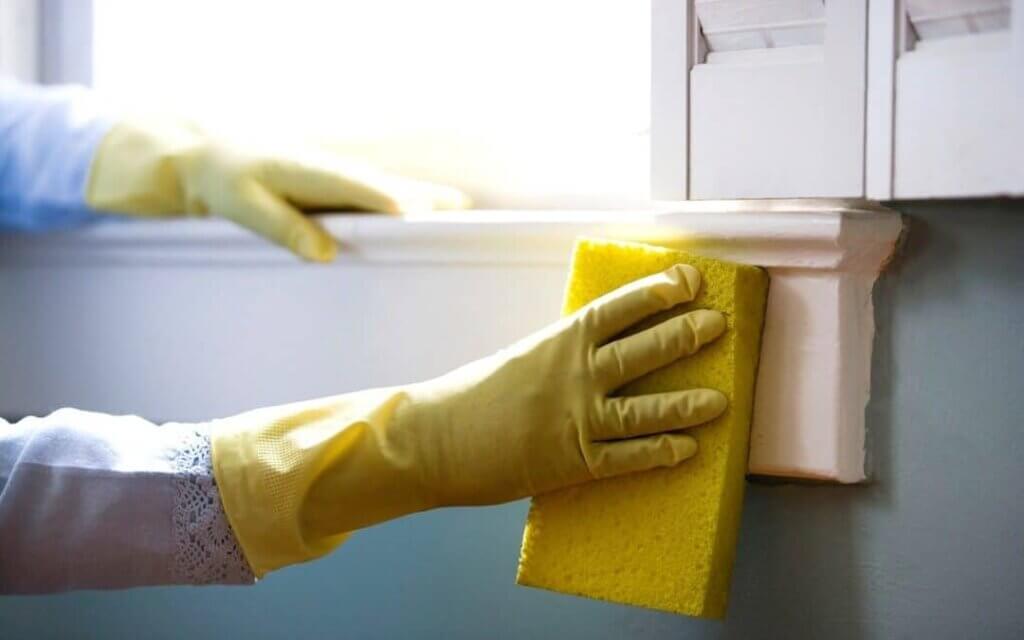 How to Eliminate Mold From Your Home