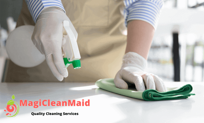 Emerging Trends in the U.S. Cleaning Services Industry in 2025 with MagiCleanMaid