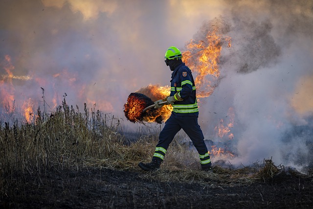 Post-Wildfire Cleaning Services in California - MagiCleanMaid Quality Cleaning Services